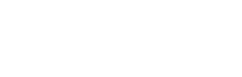 Logo 800x256 white